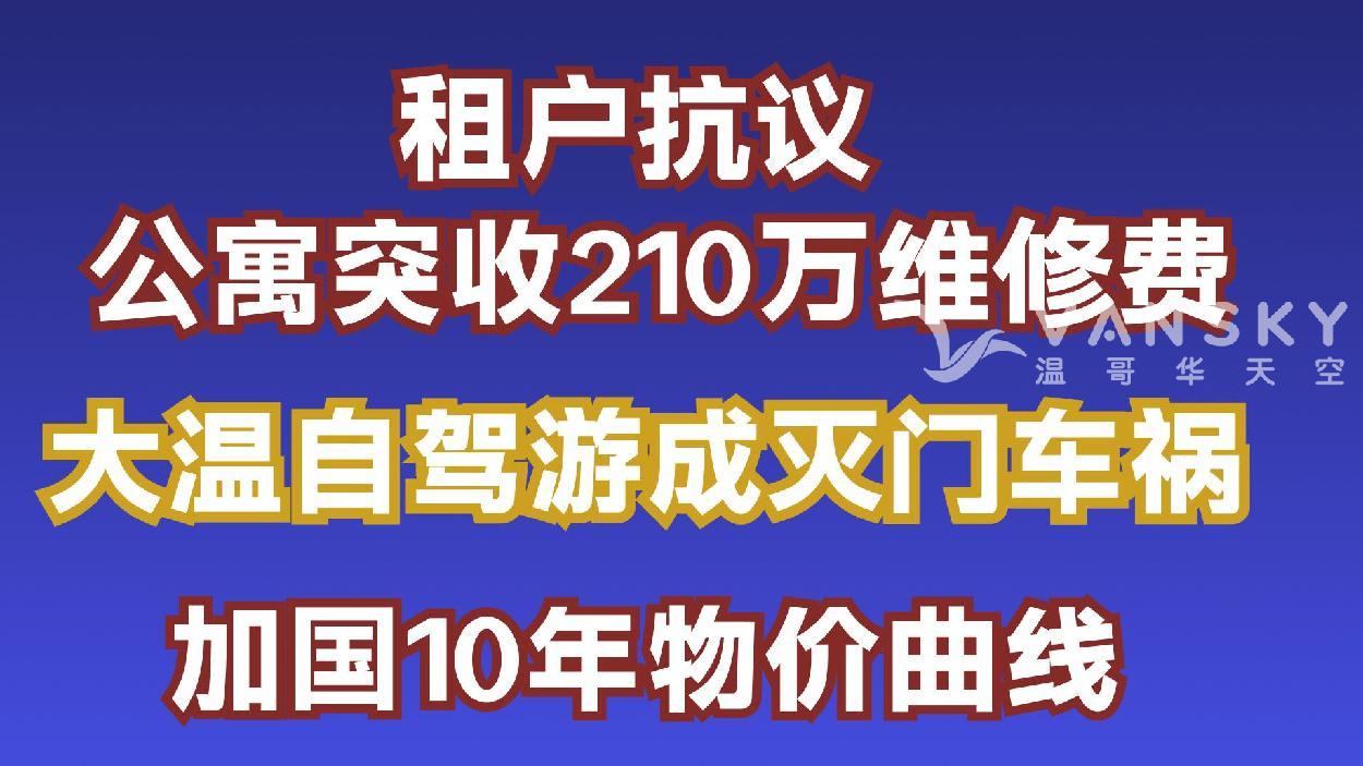 通用的占位符缩略图